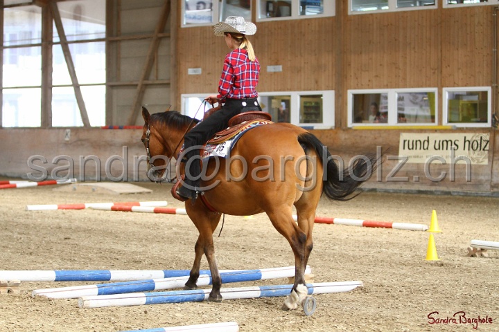 26-ApHC GT_036.jpg